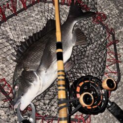 ヘチってきました