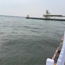 イワシ爆釣なり2nd