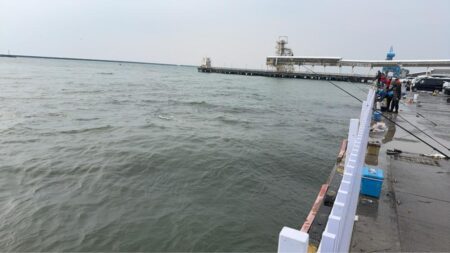 イワシ爆釣なり2nd