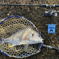 やっと今年2枚目！