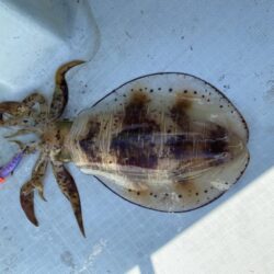 2キロアップ⁉️