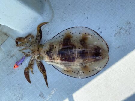 2キロアップ⁉️