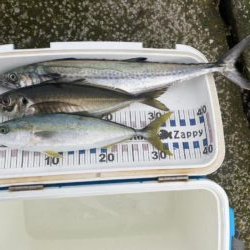 ギガアジがポイントから離れた