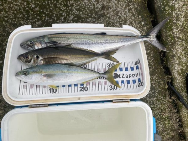 ギガアジがポイントから離れた