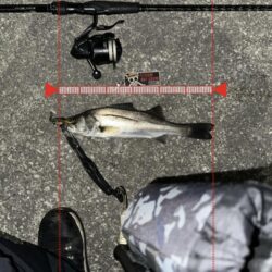 明暗への流し込み方がキモだった！