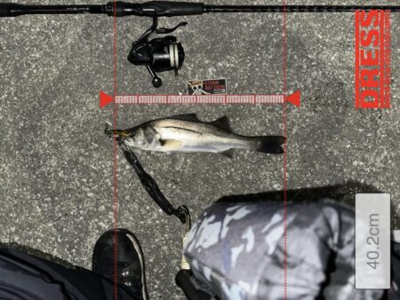 明暗への流し込み方がキモだった！