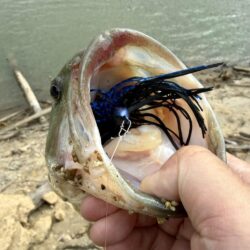 プリスポーン⁉️