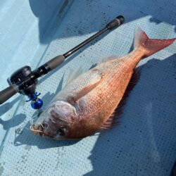 タイラバとティップラン