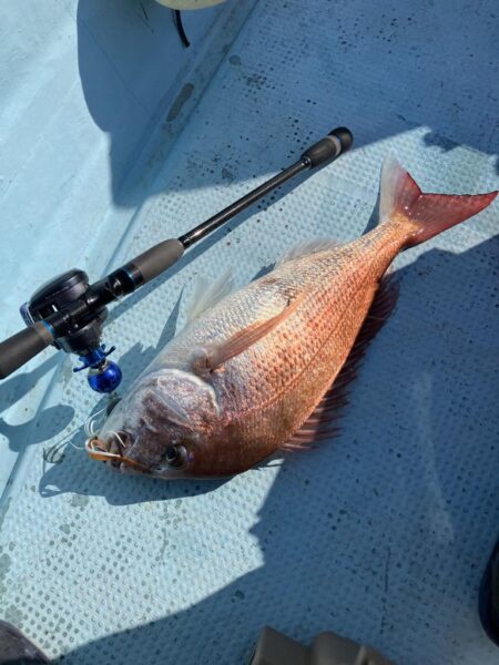 タイラバとティップラン