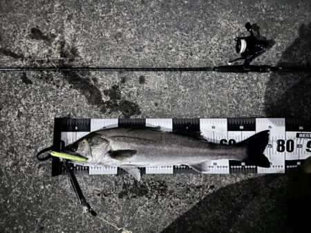 バースデーフィッシュ②