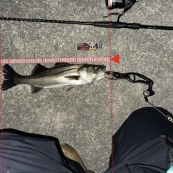 アミパターン攻略？！