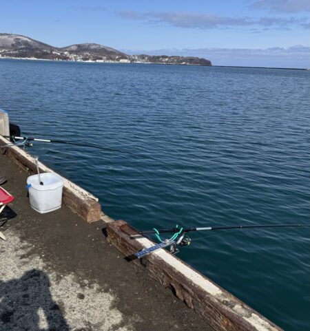 北海道の春　ホッケきょ