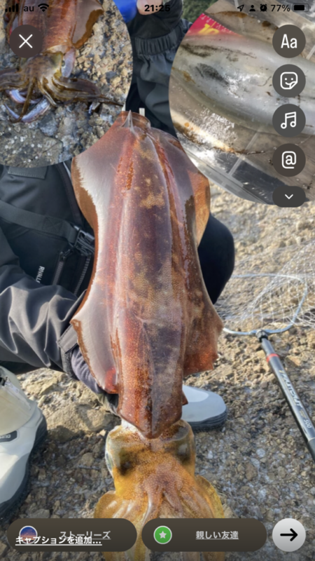 春イカはじめました^ – ^