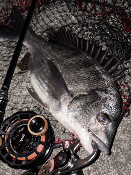 ヘチってきました