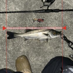 大潮三日目の爆風撃！