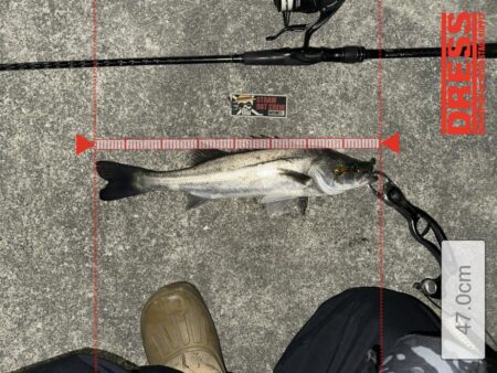 大潮三日目の爆風撃！