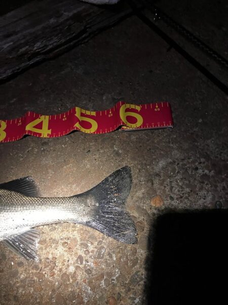 ガテン系お試し釣行成功！！