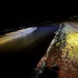 ナマズ釣り！！