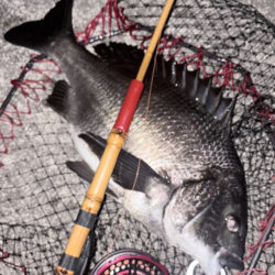 ヘチってきました