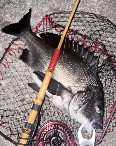 ヘチってきました