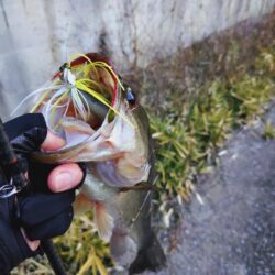 2026年春バス開幕！