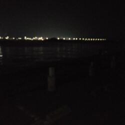 まだまだ厳しいですね。