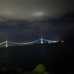 メバル　貴重な一匹！