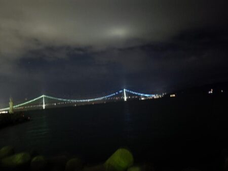 メバル　貴重な一匹！