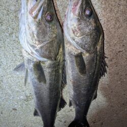 久しぶりの釣行