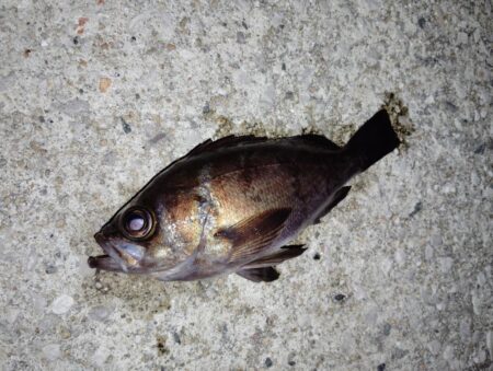 少数精鋭でした