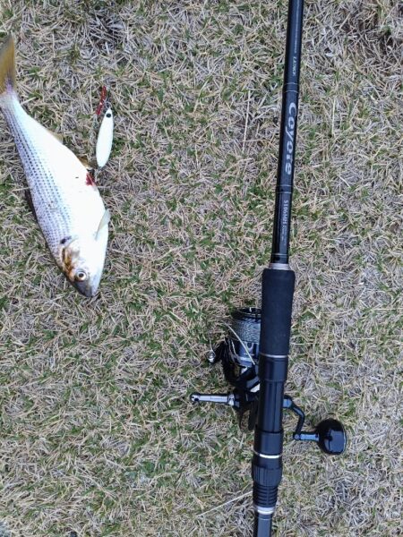 フィッシュイーター不在につき