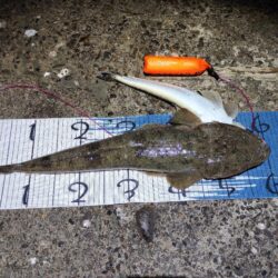 自己新更新。シーバス狙いやけど