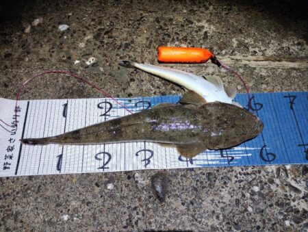 自己新更新。シーバス狙いやけど