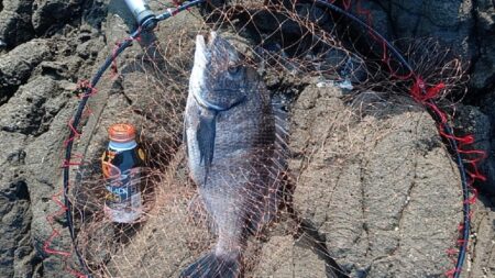 産卵前の荒食い