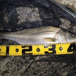 冷たい強風の中⋯