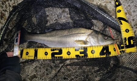 冷たい強風の中⋯