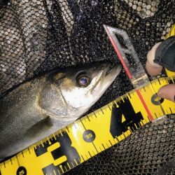 もうちょっと風が弱まって欲しい所