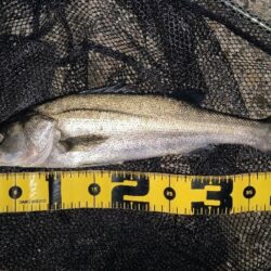 ダウンクロスで狙うのが◎