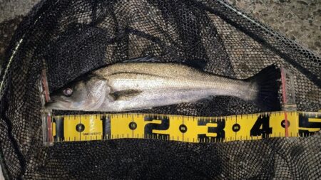 ダウンクロスで狙うのが◎