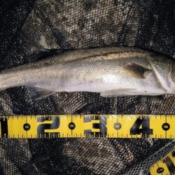 タイミングが悪くても⋯