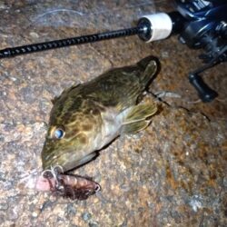 ベイトでメバリング