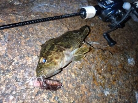 ベイトでメバリング