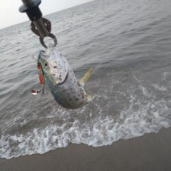 好調サーフのはず