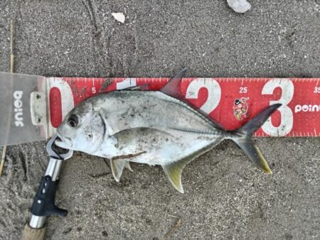 メッキが釣れました!