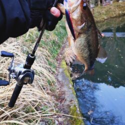 ジャークジャーク