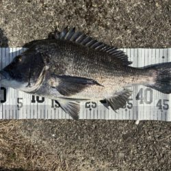 イチノ兄弟、釣果！