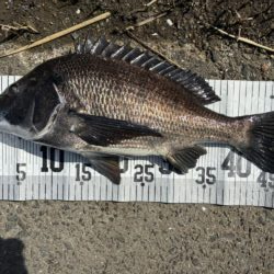 イチノ兄弟、釣果！