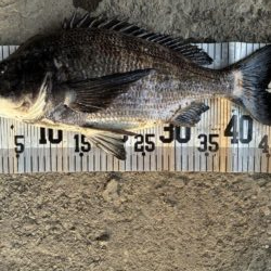 イチノ兄弟、釣果!