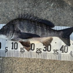 イチノ兄弟、釣果！