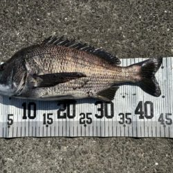 イチノ兄弟、釣果！